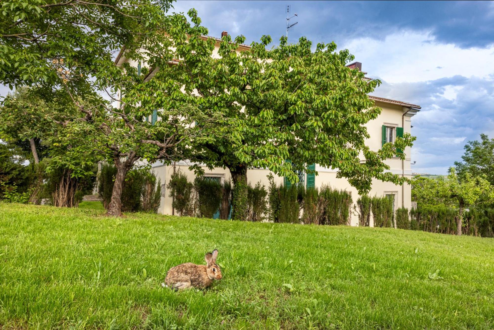 B&B In An 1800S Frescoed Villa With Panoramic Solarium And Historic Park - Villa Mastrangelo Colli del Tronto Exterior photo